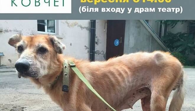 Тернополяни, маєте старі речі? Ось куди їх можна віддати