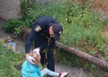 Жахіття, що двоє дорослих чоловіків зробили з маленькою тернополянкою