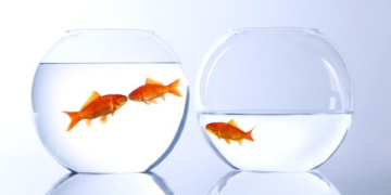 Тернопільський священик розповів, як подолати чорну смугу у житті