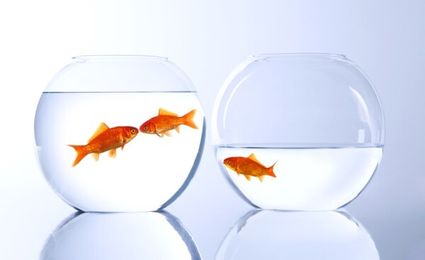 Тернопільський священик розповів, як подолати чорну смугу у житті