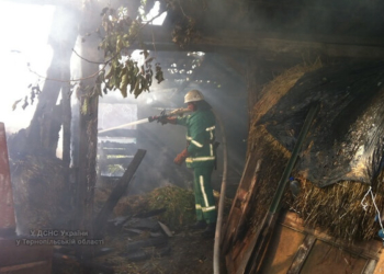 На Тернопільщині через пожежу згоріло 3 тонни корму