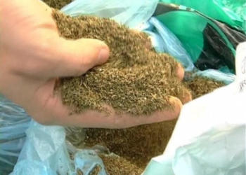 У парку на Тернопіллі затримали чоловіка з наркотиками