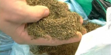 У парку на Тернопіллі затримали чоловіка з наркотиками