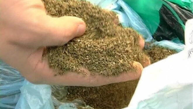 У парку на Тернопіллі затримали чоловіка з наркотиками