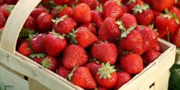 Прем’єр Гройсман похвалив село з Тернопільщини