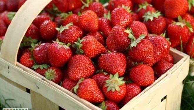 Прем’єр Гройсман похвалив село з Тернопільщини