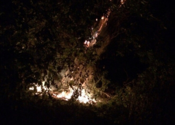 На Тернопільщині горіло величезне дерево, а пожежники відмовилися приїхати? (фото)