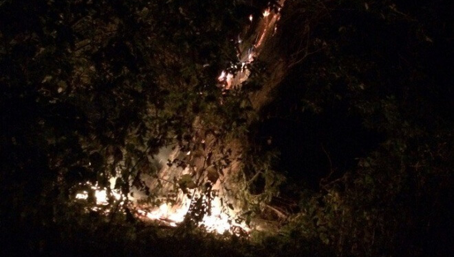 На Тернопільщині горіло величезне дерево, а пожежники відмовилися приїхати? (фото)