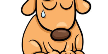 У Дичкові аншлаг: десяткам дворових собак з Тернополя потрібні харчі