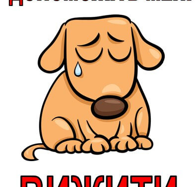 У Дичкові аншлаг: десяткам дворових собак з Тернополя потрібні харчі