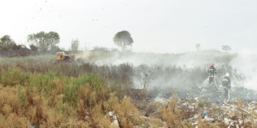 Біля сміттєзвалища на Тернопільщині була пожежа: горіла трава
