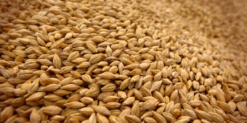 Який район на Тернопільщині по-особливому відзначився?