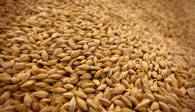 Який район на Тернопільщині по-особливому відзначився?