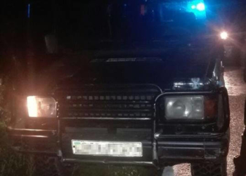 З тушкою у багажнику та пістолетом за спиною зупинили водія на Тернопільщині