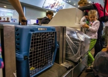 Ви не повірите, що вчудив цей австралійський спортсмен