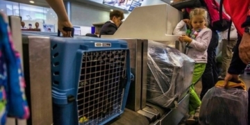 Ви не повірите, що вчудив цей австралійський спортсмен