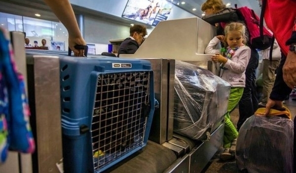 Ви не повірите, що вчудив цей австралійський спортсмен