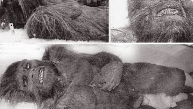 Черговий фейк чи наукове відкриття: у мережі обговорюють снігову людину