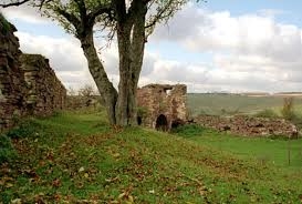 На Тернопільщині фестивалили і визначали найкращі дитячі малюнки