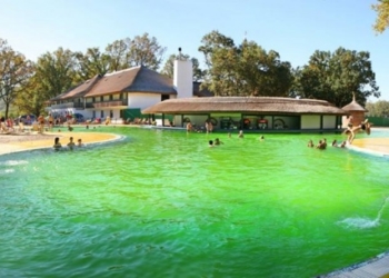 Тернопільські волонтери організовують відпочинок для сімей загиблих учасників АТО