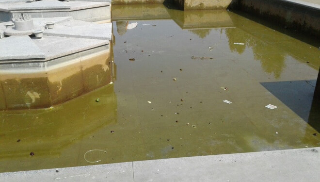 Просто немає слів, як його можна так загадити, – тернополяни шоковані виглядом фонтану