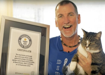 У мережі люди фанатіють від кішки-рекордсменки (відео)