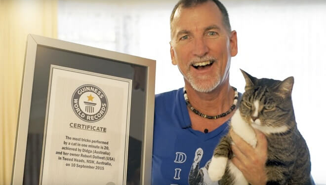 У мережі люди фанатіють від кішки-рекордсменки (відео)