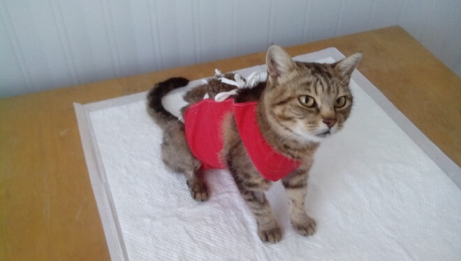 Вона пережила за своє життя чимало і тепер у Тернополі шукає домівку