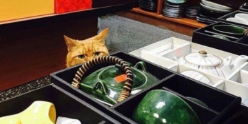 Як виглядає працівник, що не брав жодного вихідного за 9 років (фото)