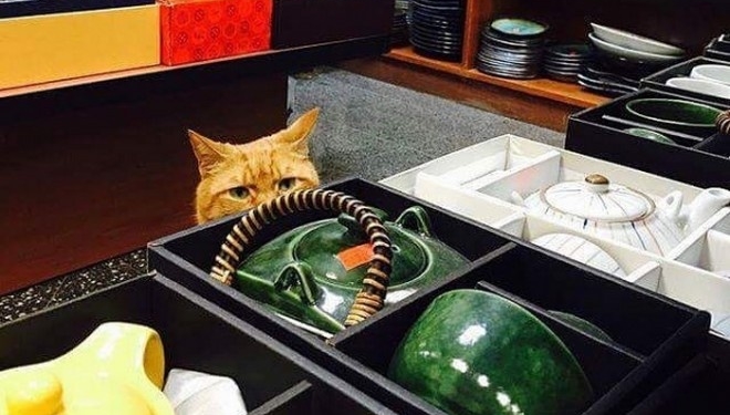 Як виглядає працівник, що не брав жодного вихідного за 9 років (фото)