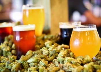 У Тернополі фестивалитимуть майже з півсотнею сортів крафтового пива