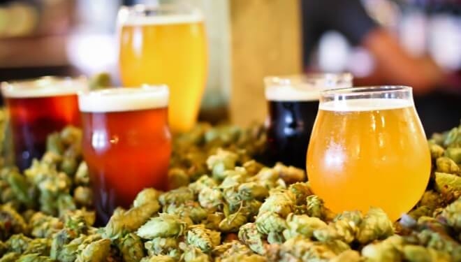 У Тернополі фестивалитимуть майже з півсотнею сортів крафтового пива