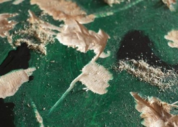 Тернополянам покажуть медитицію у дереві