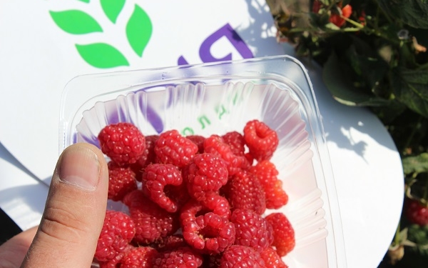 Створюємо кооперативи – розвиваємо село