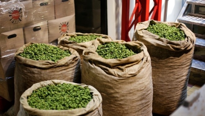 У Тернополі влаштують свято пива – сорти з різних куточків України