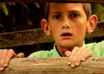 політ золотої мушки