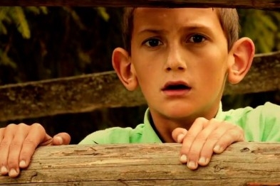 політ золотої мушки