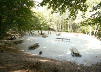 У парку Тернополя небачені зміни