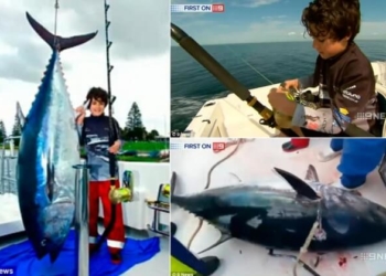 Рибу вагою 116 кілограмів спіймав 10-річний хлопчик (фото)