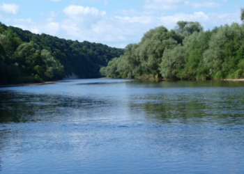 На Тернопільщині втопився чоловік