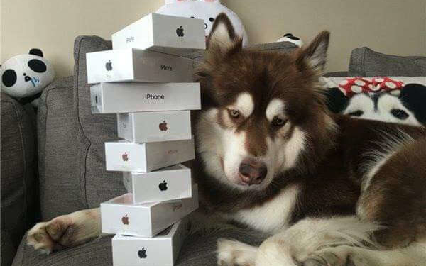 Як з дурного вчинку “мажора” сміються у всьому світі (фотофакт)