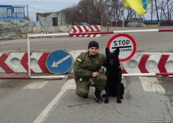 Тернопільський полісмен розповів якими насправді є службові собаки