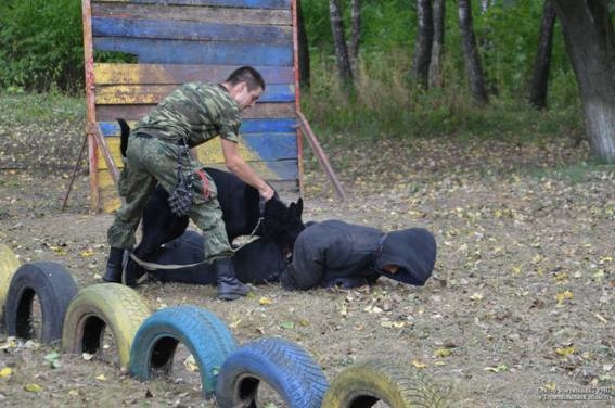 Тернопільський полісмен розповів якими насправді є службові собаки