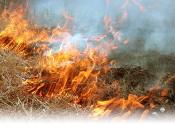 На Тернопільщині горіла суха трава