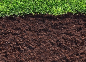 Бійцям АТО Тернопільщина вирішила виділити ще більше землі