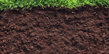 Бійцям АТО Тернопільщина вирішила виділити ще більше землі