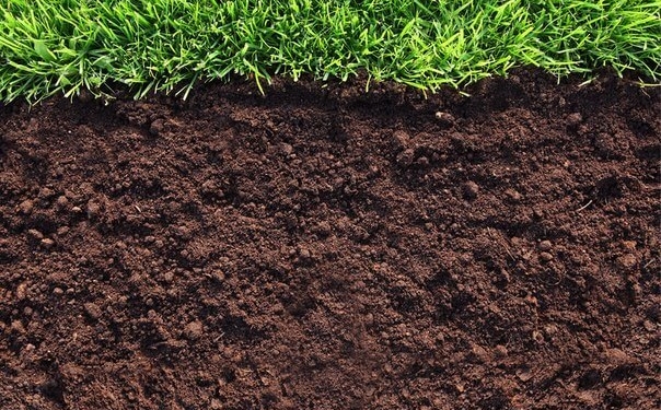 Бійцям АТО Тернопільщина вирішила виділити ще більше землі