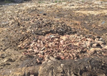 Неподалік Тернополя назріває велике екологічне лихо (відео)