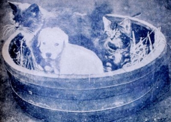 Які моральні цінності були у тернополян 100 років тому