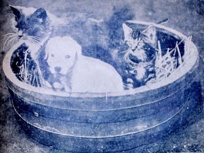 Які моральні цінності були у тернополян 100 років тому